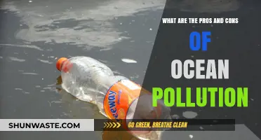 Ocean Pollution: Benefits and Drawbacks