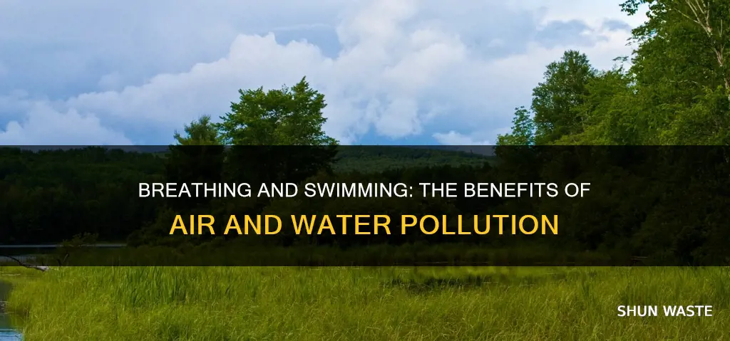 what are the pros of air and water pollution