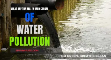 Unveiling the Hidden Causes: Water Pollution's Real World Impact