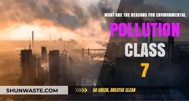 Causes of Environmental Pollution for Class 7 Students