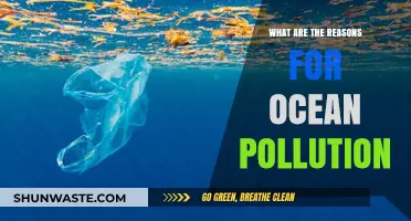 Ocean Pollution: Human Impact and Carelessness