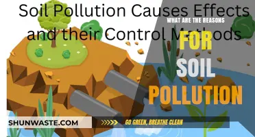 Soil Pollution: Understanding the Main Causes