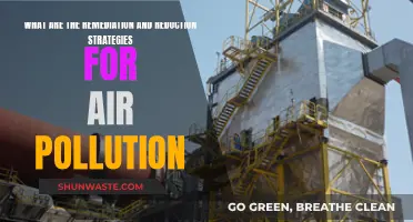 Strategies to Combat Air Pollution: Remediation and Reduction