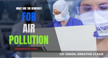 Solutions for cleaner air and a healthier planet