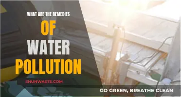 Battling Water Pollution: Effective Solutions and Remedies Explored