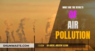 Air Pollution's Devastating Impact on Our Planet