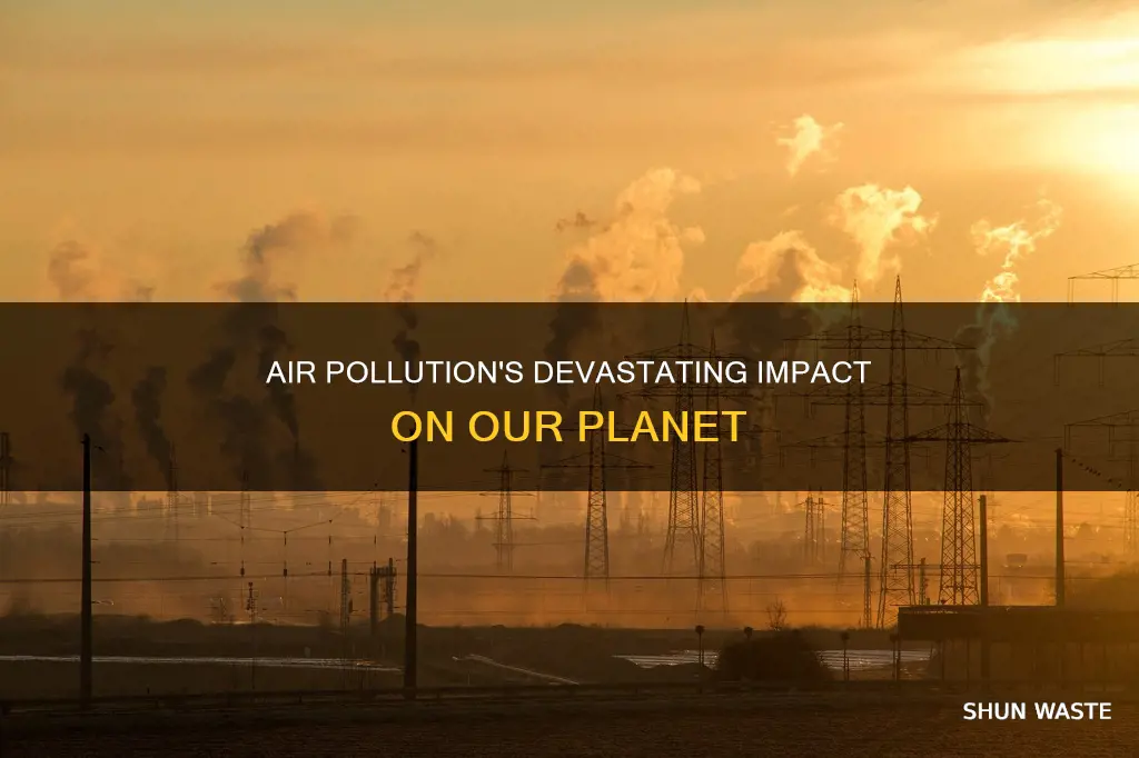 what are the results of air pollution