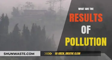 Pollution's Devastating Impact on Our Planet and Health