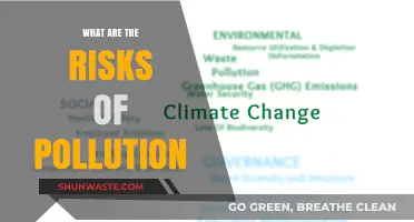 Pollution's Perils: Understanding the Dangers and Risks