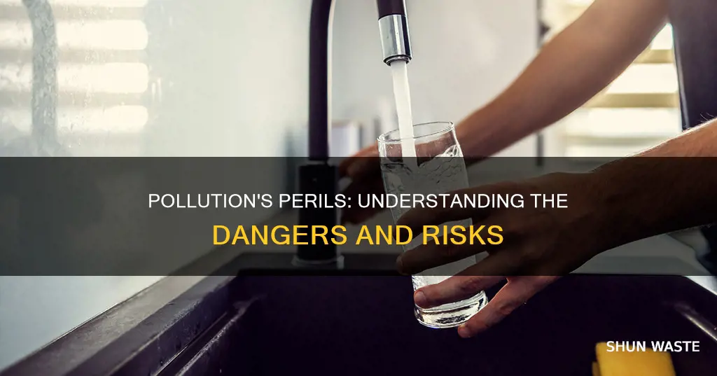 what are the risks of pollution
