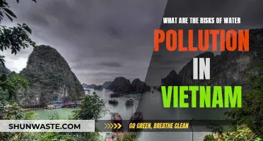 Viet Nam's Water Crisis: Uncovering Hidden Dangers