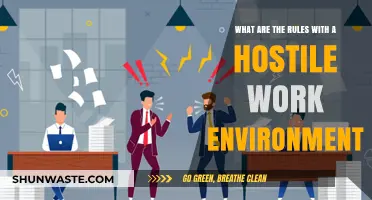 Understanding Hostile Work Environment Rules: Legal Boundaries and Employee Rights