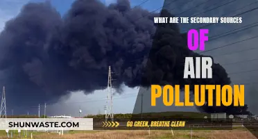 Air Pollution: The Secondary Sources Revealed