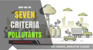 Understanding Key Pollutants: Seven Criteria Pollutants Explained