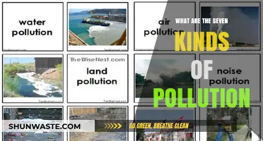 Understanding the 7 Main Types of Pollution