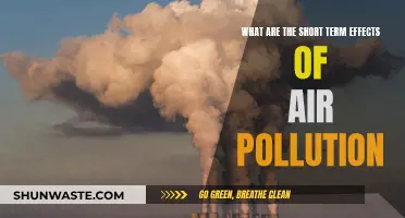 Air Pollution's Damaging Effects on Our Health