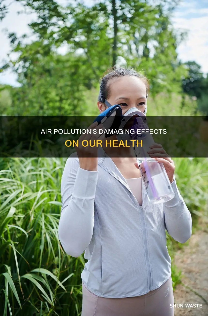 what are the short term effects of air pollution