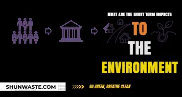 Immediate Environmental Impacts: Short-Term Effects on Our Planet Explained