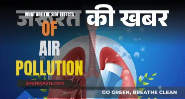 Air Pollution: The Unseen Dangers and Health Risks