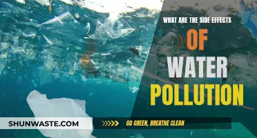 Unseen Dangers: The Hidden Side Effects of Water Pollution