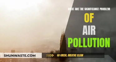 Air Pollution: Understanding Its Devastating Impact