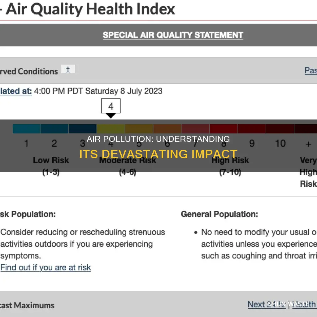 what are the significance problem of air pollution