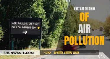 Air Pollution: Signs to Watch Out For