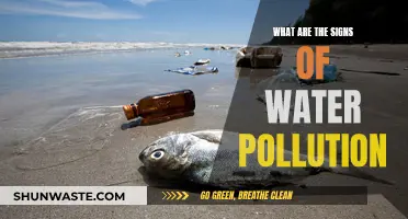 Unveiling the Signs: Water Pollution's Hidden Hazards