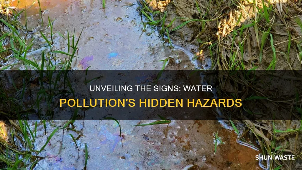 what are the signs of water pollution