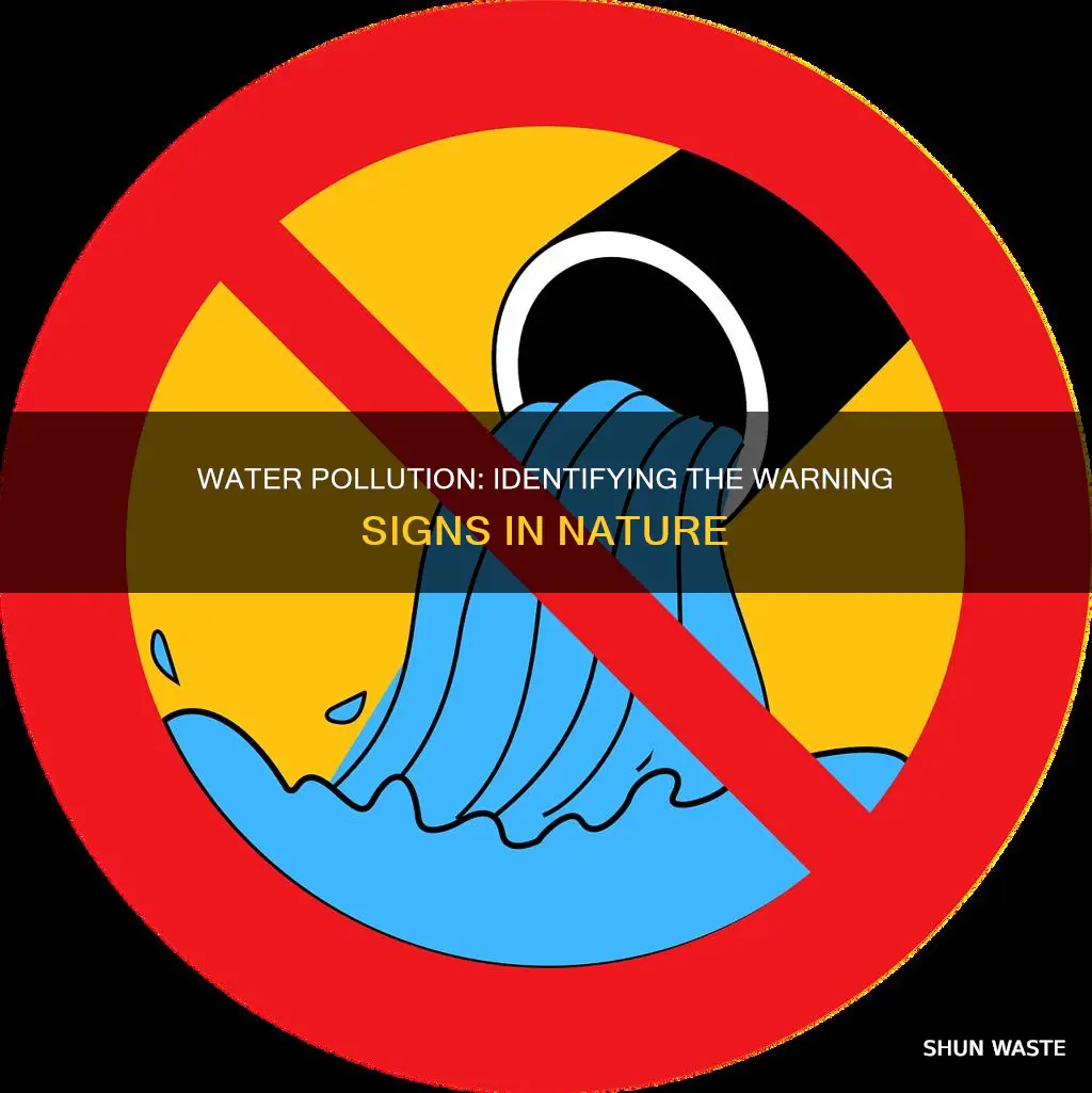 what are the signs of water pollution