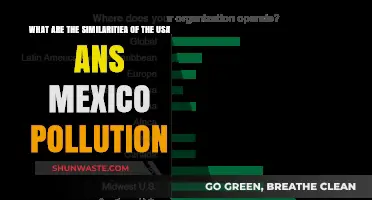 Pollution Problems: USA and Mexico's Similar Struggles