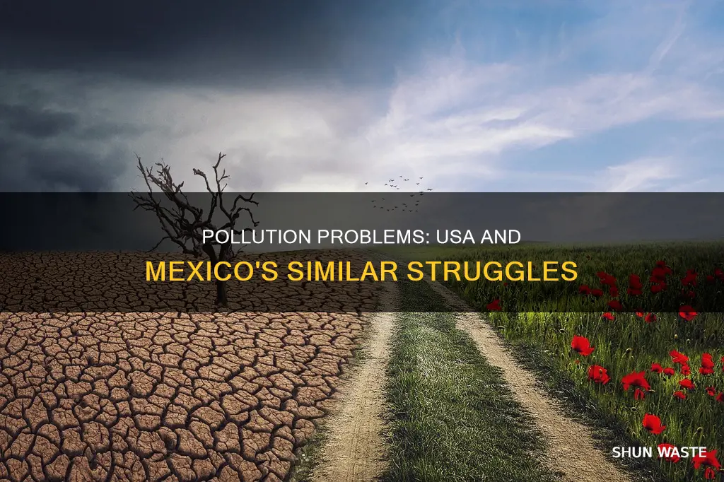 what are the similaritiea of the usa ans mexico pollution