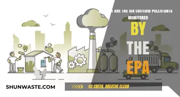 EPA Criteria Pollutants: Six Key Air Quality Measures