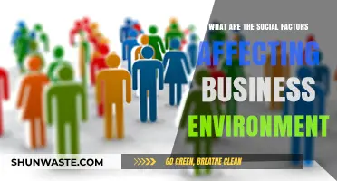 Social Factors Shaping Business Environments: Trends, Impacts, and Strategies