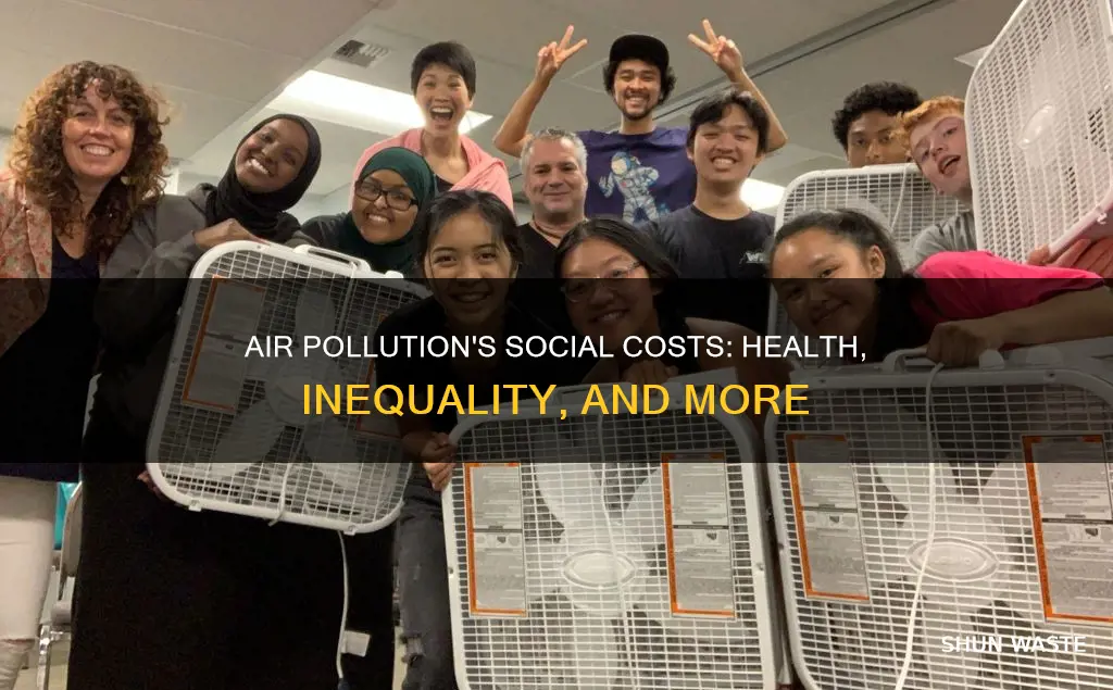 what are the social impacts of air pollution