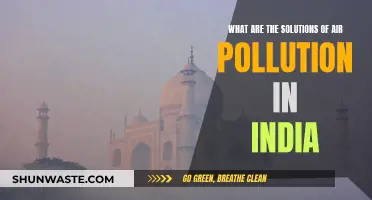 Clean India's Air: Strategies for a Brighter Future