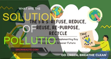 Green Revolution: Tackling Pollution's Challenges