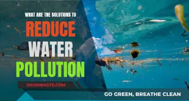 Solving Water Pollution: Strategies to Save Our Waterways