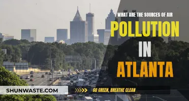 Air Pollution in Atlanta: Sources and Causes