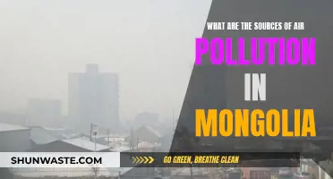 Air Pollution in Mongolia: Sources and Impacts