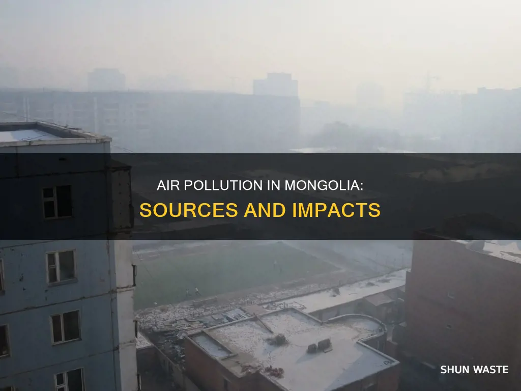 what are the sources of air pollution in mongolia