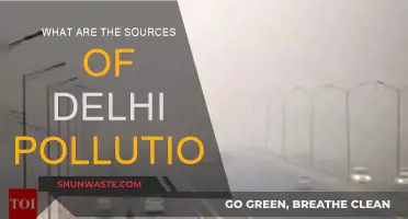 Delhi Pollution: Sources and Causes
