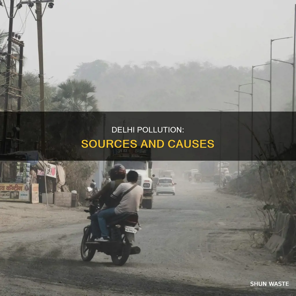 what are the sources of delhi pollution