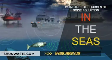 Exploring Sources Behind Marine Noise Pollution