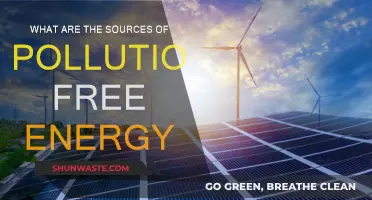 Exploring Pollution-Free Energy Sources for a Greener Future