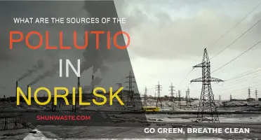 Norilsk's Pollution: Key Sources and Their Impacts