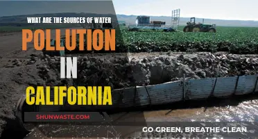 Unveiling California's Water Woes: Sources of Pollution Revealed