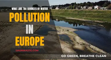 Unveiling Europe's Water Woes: Sources of Pollution Revealed