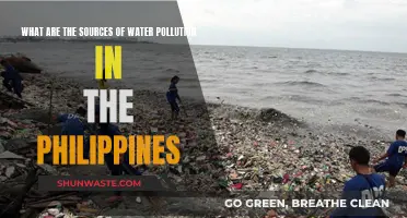 Unveiling the Sources: Water Pollution's Hidden Causes in the Philippines