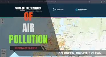Air Pollution Statistics: A Global Crisis